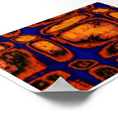 細胞壁 ポスター (角)