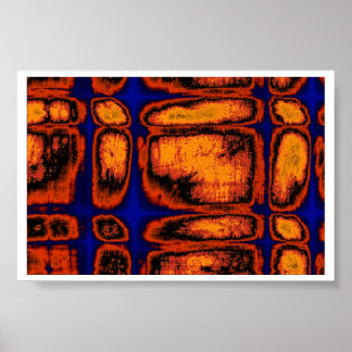 細胞壁 ポスター