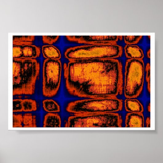 細胞壁 ポスター (正面)