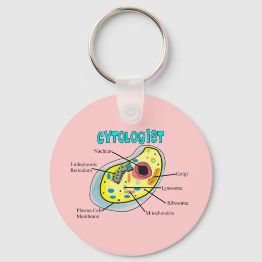 細胞学者ヒト細胞スケッチギフト キーホルダー (正面)