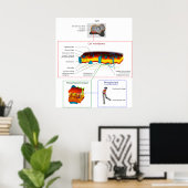 細胞膜原形質図 ポスター (ホームオフィス)