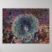 細胞起源 ポスター (正面)