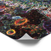 細胞起源 ポスター (角)