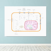 細胞遺伝子シグナル伝達経路の図 キャンバスプリント (インサイチュ (ウッドフロア))