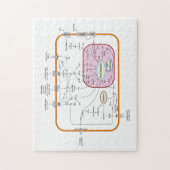 細胞遺伝子シグナル伝達経路の図 ジグソーパズル (縦)