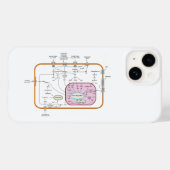 細胞遺伝子シグナル伝達経路の図 Case-Mate iPhoneケース (裏面 (横))