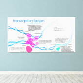 細胞遺伝子転写因子図 キャンバスプリント (インサイチュ (ウッドフロア))