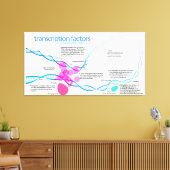 細胞遺伝子転写因子図 キャンバスプリント (インサイチュ (リビング))