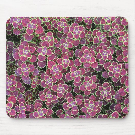 細胞 マウスパッド (正面)