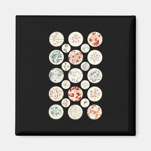 細菌おもしろい微生物学 マグネット (正面)