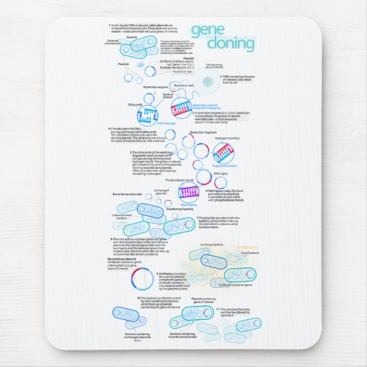 細菌およびプラスミッドを使用して分子クローニング マウスパッド (正面)