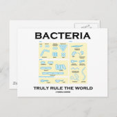 細菌が真に世界を支配する(形態学) ポストカード (正面/裏面)