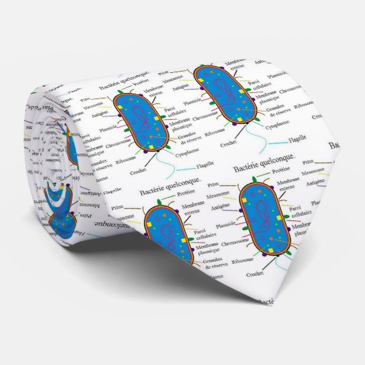 細菌のタイ ネクタイ (ロール)