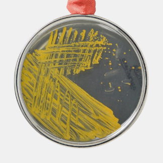 細菌の分離の縞 メタルオーナメント