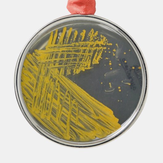 細菌の分離の縞 メタルオーナメント (正面)