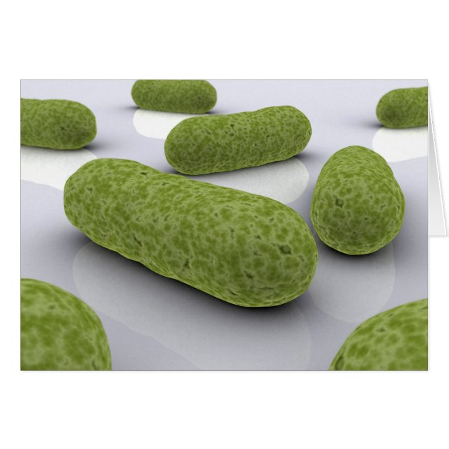 細菌の概念像1 (正面横)