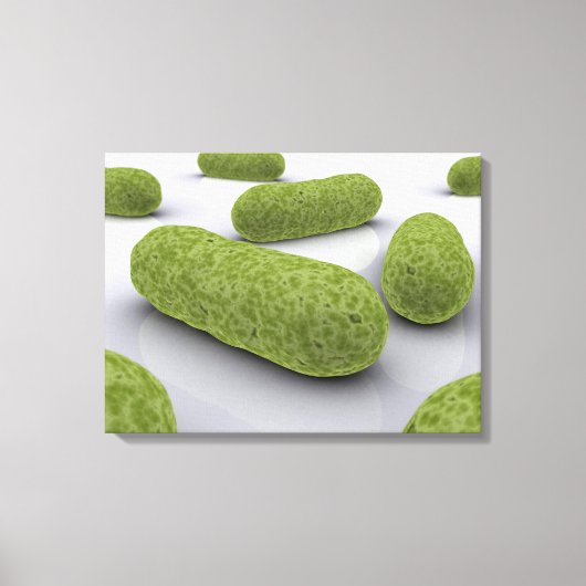 細菌の概念像1 キャンバスプリント (正面)