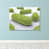 細菌の概念像1 キャンバスプリント (インサイチュ (ウッドフロア))