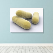 細菌の概念像2 キャンバスプリント (インサイチュ (ウッドフロア))