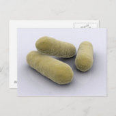 細菌の概念像2 ポストカード (正面/裏面)