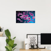 細菌の概念像3 ポスター (ホームオフィス)