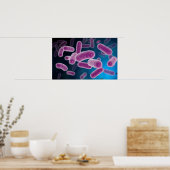 細菌の概念像3 ポスター (キッチン)