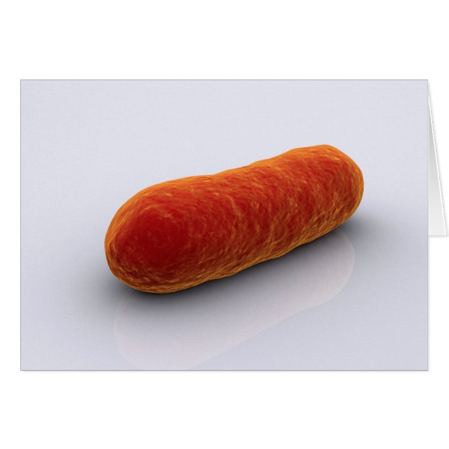 細菌の概念像4 (正面横)