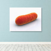 細菌の概念像4 キャンバスプリント (インサイチュ (ウッドフロア))