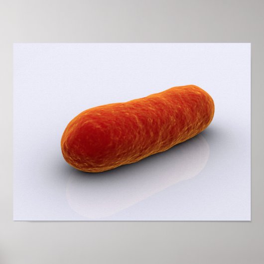 細菌の概念像4 ポスター (正面)