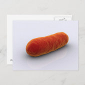 細菌の概念像4 ポストカード (正面/裏面)