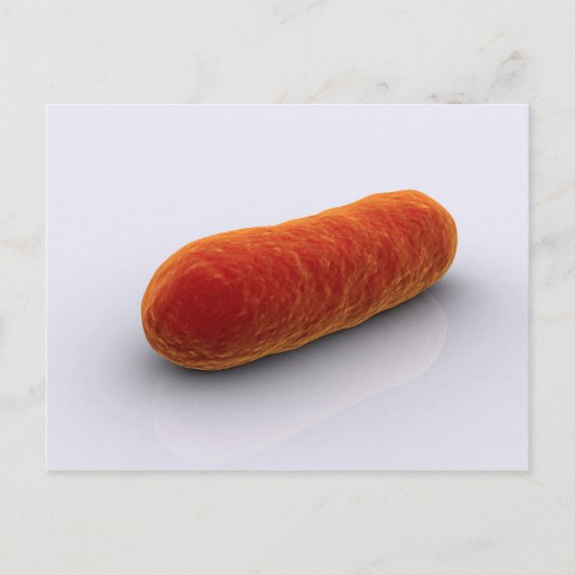 細菌の概念像4 ポストカード (正面)