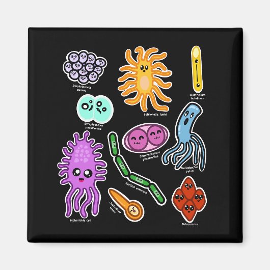 細菌の種類 マグネット (正面)