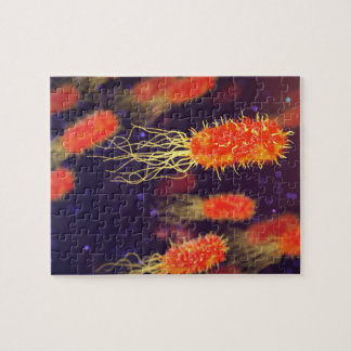 細菌の鞭毛 ジグソーパズル