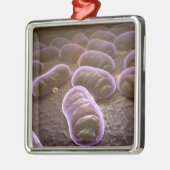 細菌の顕微鏡の眺め メタルオーナメント (左)