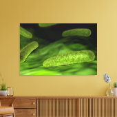 細菌の顕微鏡的見解1 キャンバスプリント (インサイチュ (リビング))