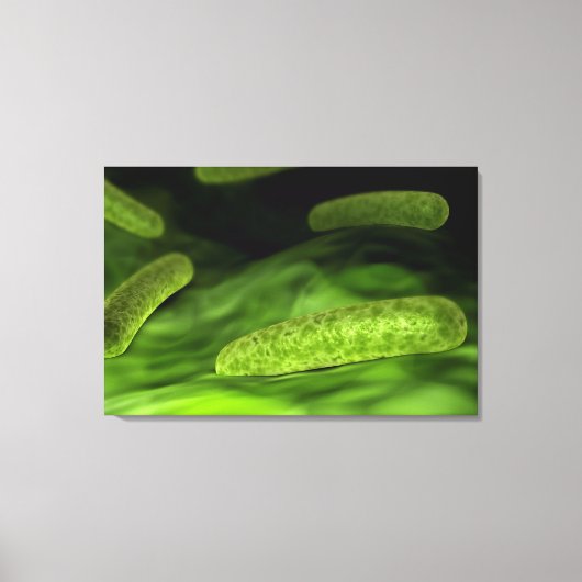 細菌の顕微鏡的見解1 キャンバスプリント (正面)