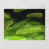 細菌の顕微鏡的見解1 ポストカード (正面)