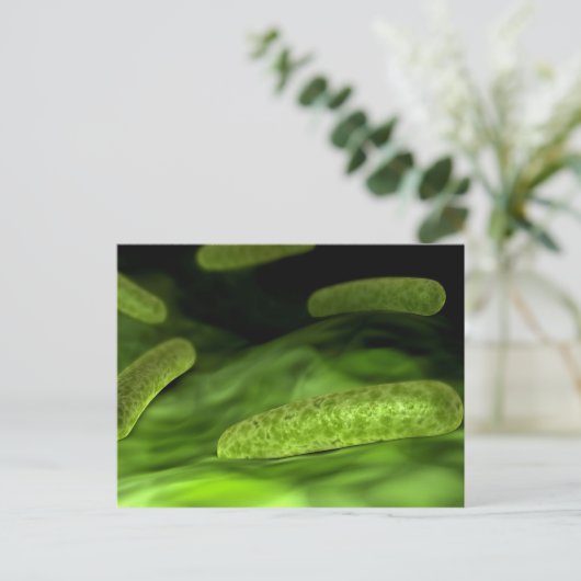 細菌の顕微鏡的見解1 ポストカード (スタンド正面)