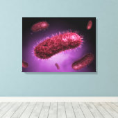 細菌の顕微鏡的見解2 キャンバスプリント (インサイチュ (ウッドフロア))