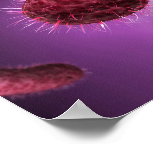 細菌の顕微鏡的見解2 ポスター (角)