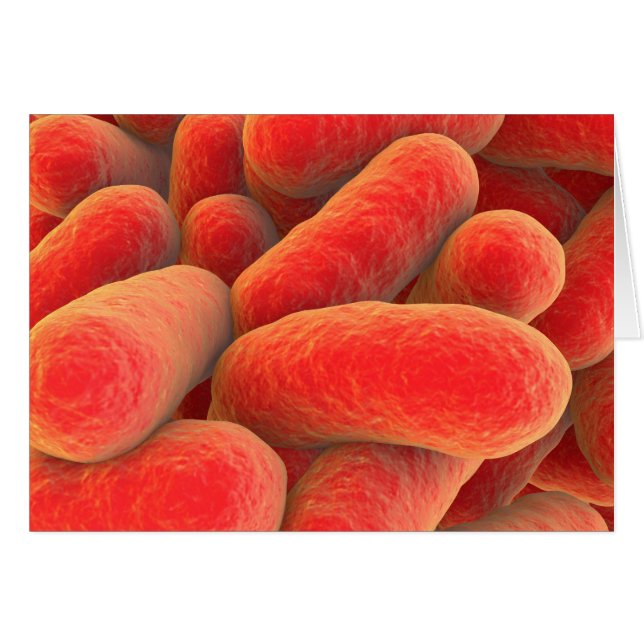 細菌の顕微鏡的見解4 (正面横)