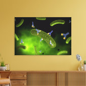 細菌を殺す抗体の概念像 キャンバスプリント (インサイチュ (リビング))