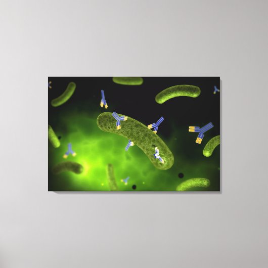 細菌を殺す抗体の概念像 キャンバスプリント (正面)