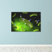 細菌を殺す抗体の概念像 キャンバスプリント (インサイチュ (ウッドフロア))