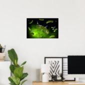 細菌を殺す抗体の概念像 ポスター (ホームオフィス)