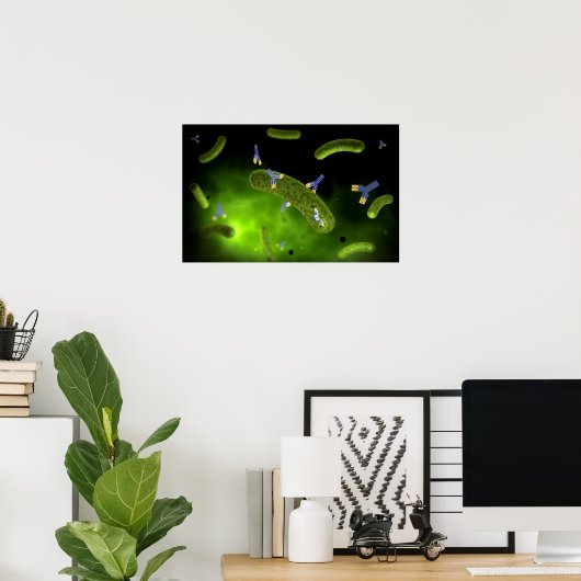 細菌を殺す抗体の概念像 ポスター (ホームオフィス)