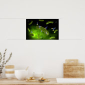 細菌を殺す抗体の概念像 ポスター (キッチン)