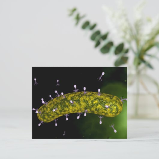 細菌ウイルスが細菌を攻撃する顕微鏡図 ポストカード (スタンド正面)