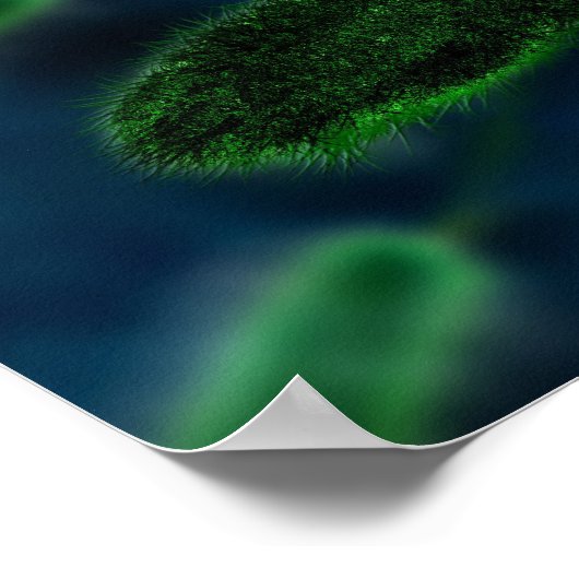 細菌微生物 ポスター (角)