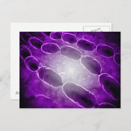 細菌性肺炎の顕微鏡的見解2 ポストカード (正面/裏面)